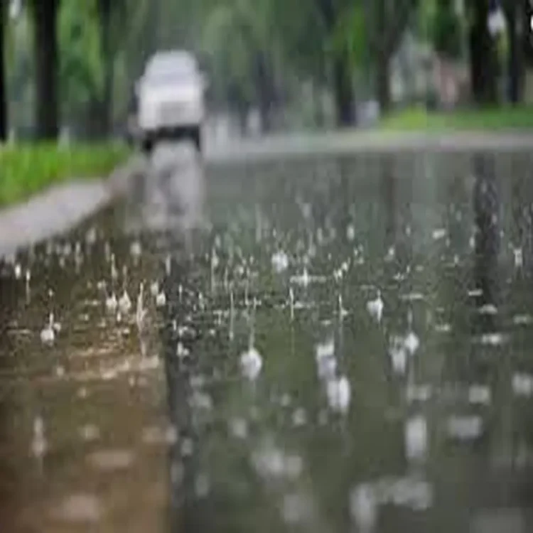 Unseasonal rain cools maharashtra weather