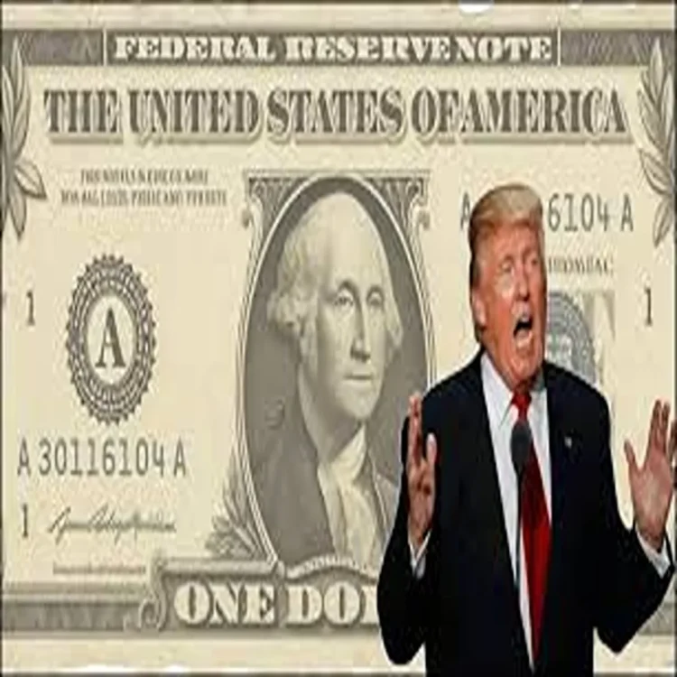 Us dollar trump signature design