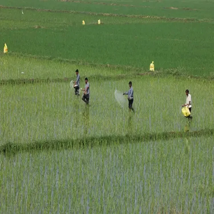 Us farm leaders warn fertiliser costs