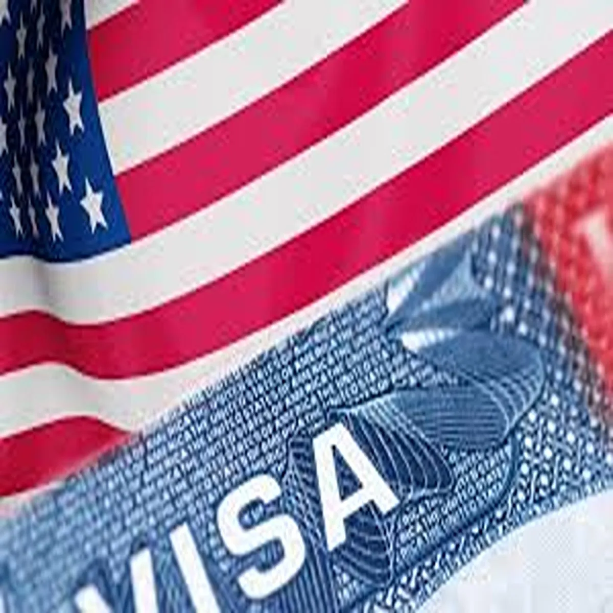 Immigration visa issuance declines sharply amid