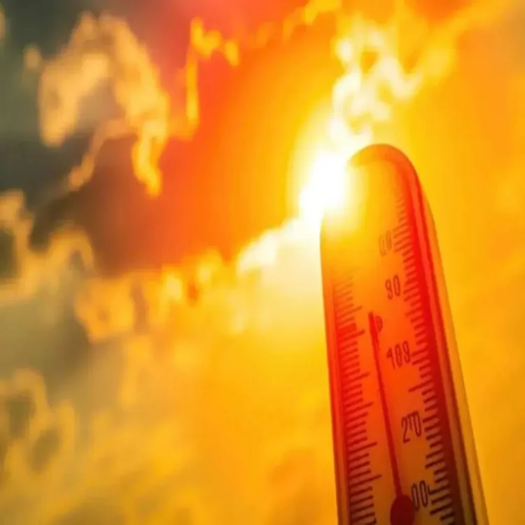 Andhra heatwave hot winds alert