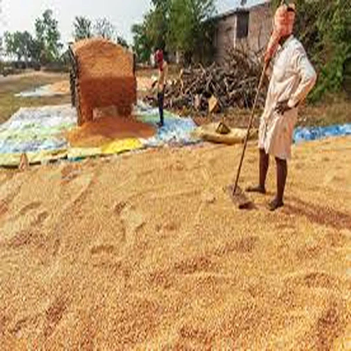 Agriculture andhra pradesh seeks urgent support