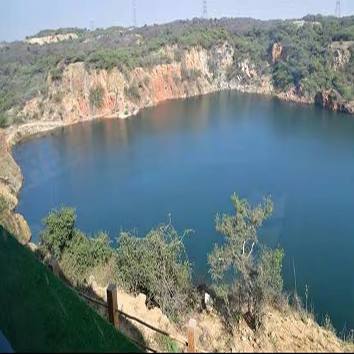 Conservation scientific management plan approved asola