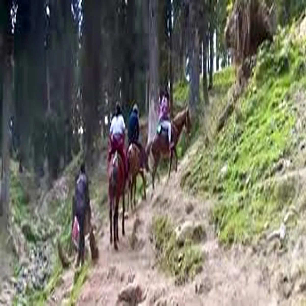 Tourism road project planned improve access