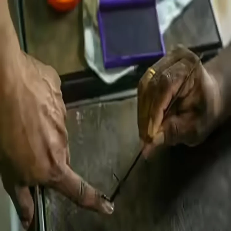 Bengal election second phase turnout