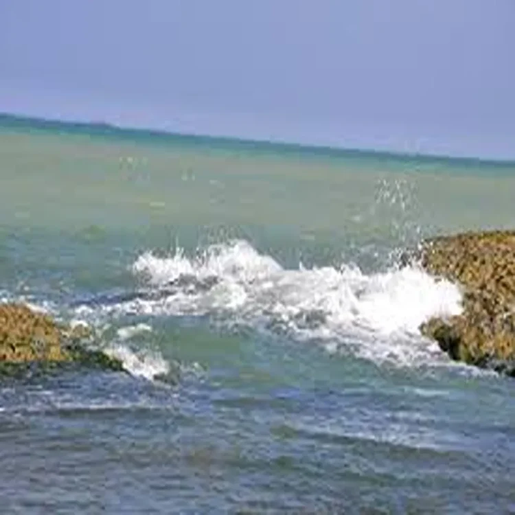 Caspian sea ecosystem restoration project