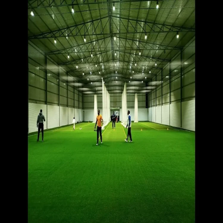 Cricket indoor academies northeast india
