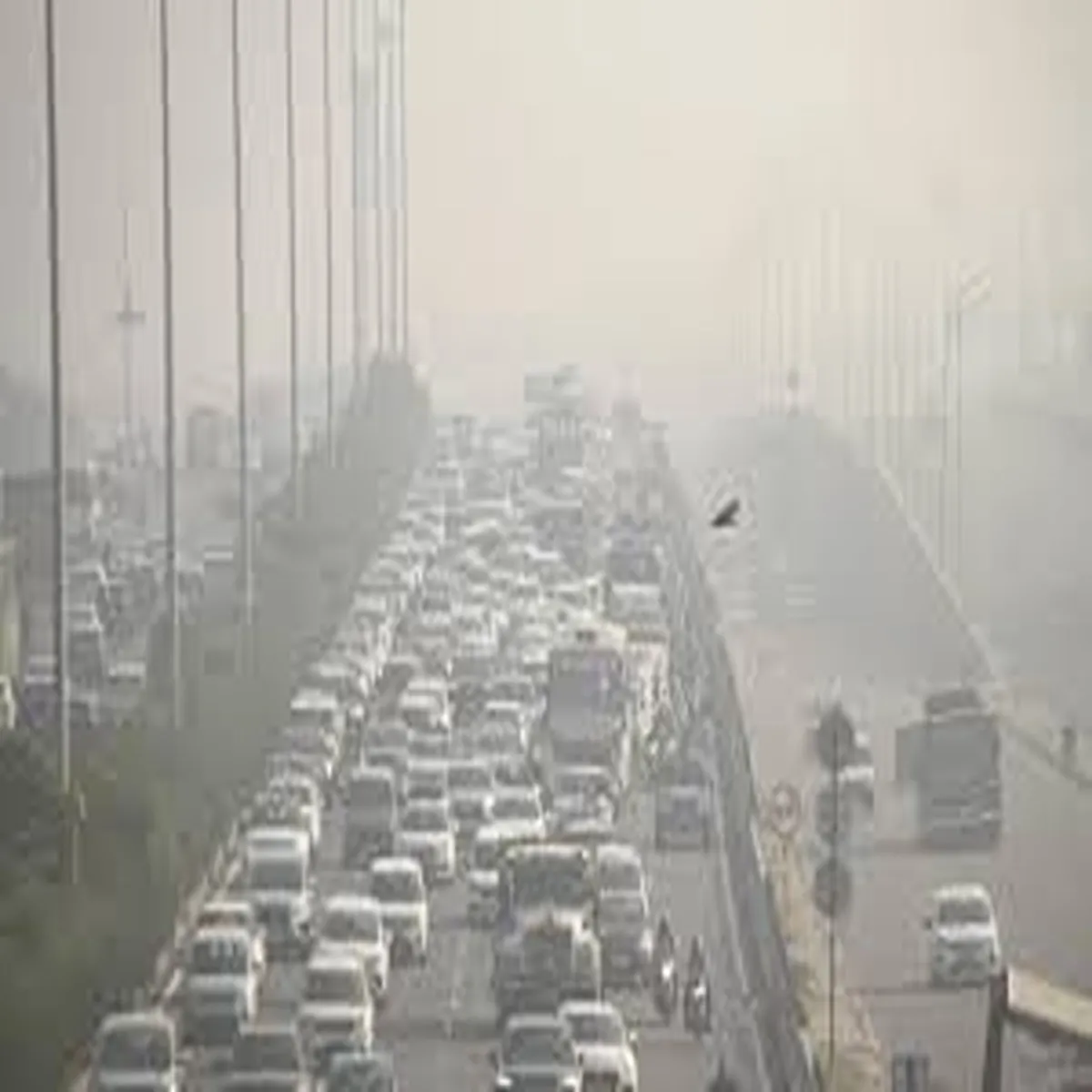 Traffic delhi civic body collects over