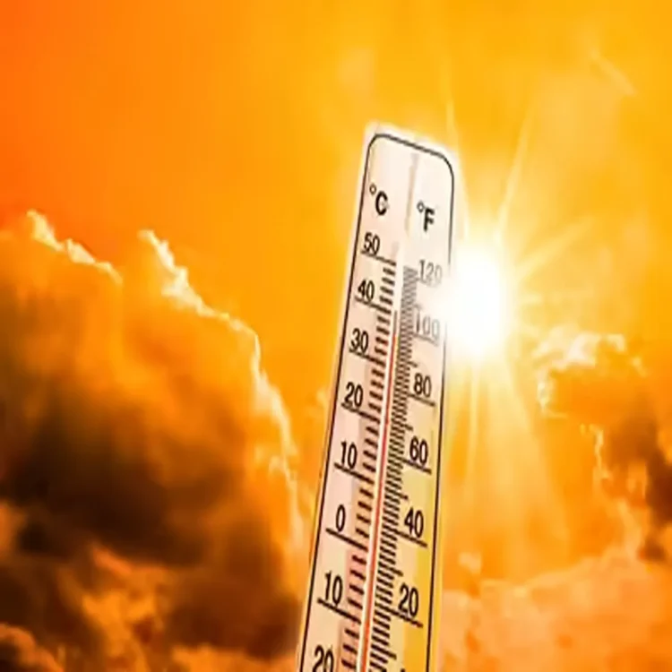 Delhi heatwave rising temperature alert