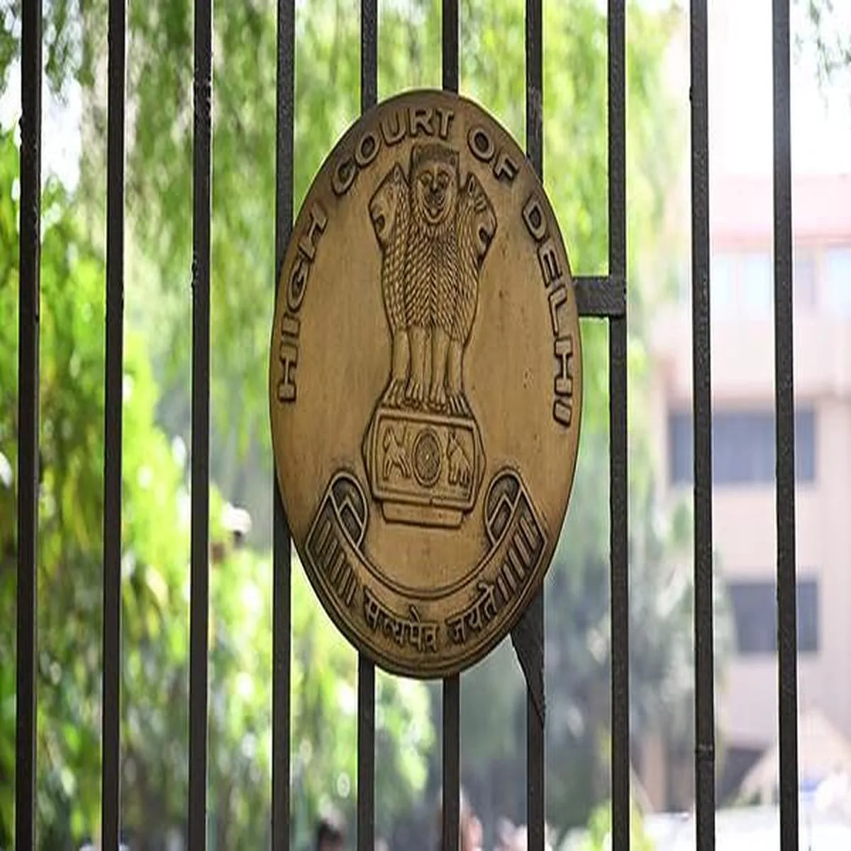 Court delhi high court questions delay