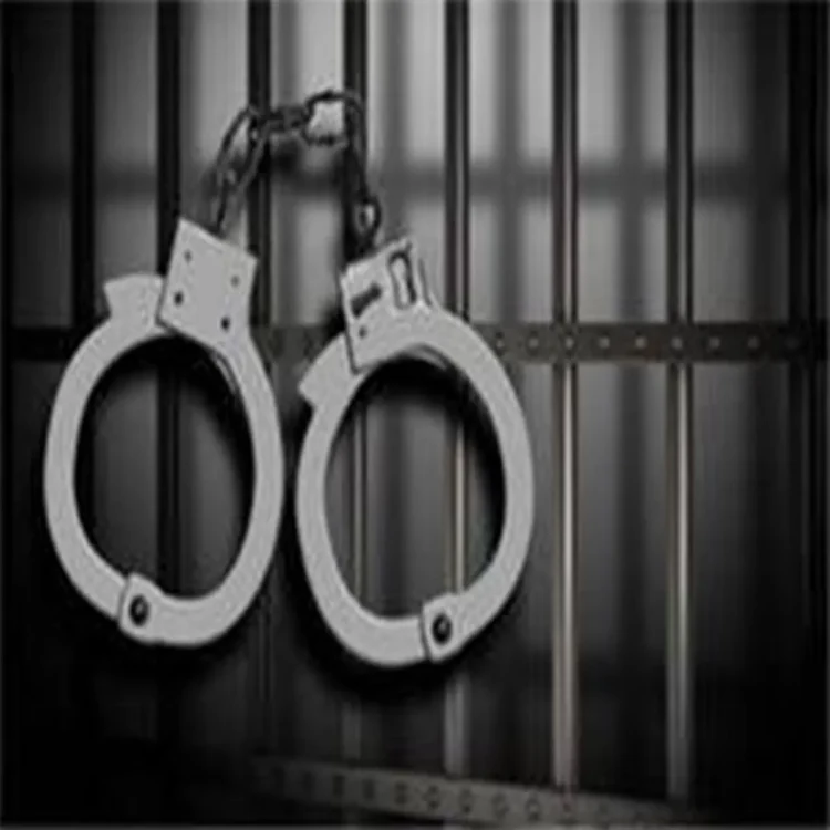 Delhi police arrest fugitive convict
