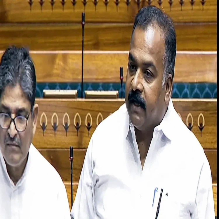 Delimitation impact on representation