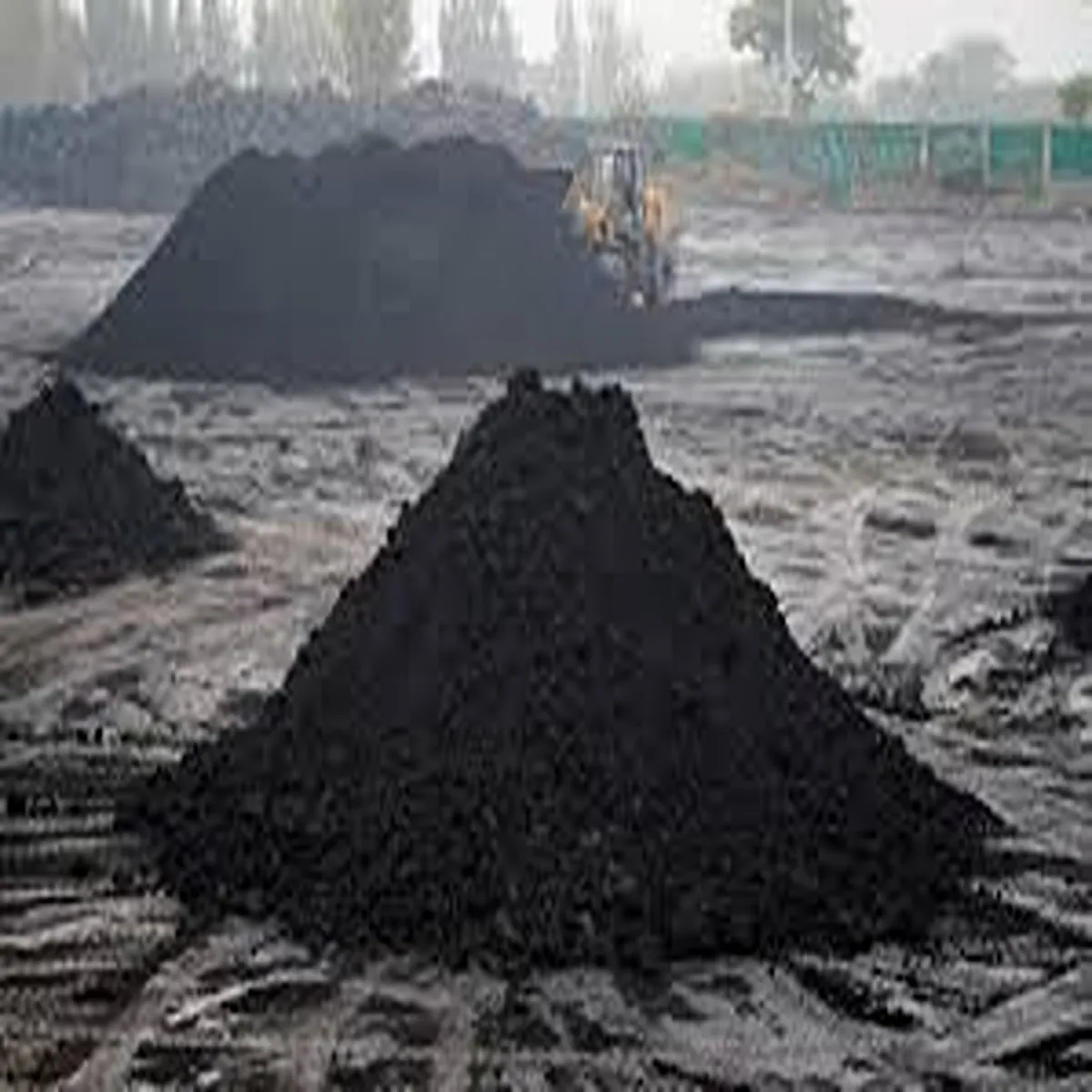 Coal attaches 159 crore assets illegal