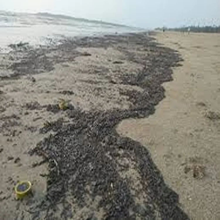 Environment tar ball pollution rules
