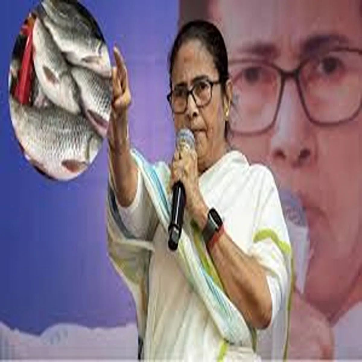 Politics fish becomes symbol identity bengal