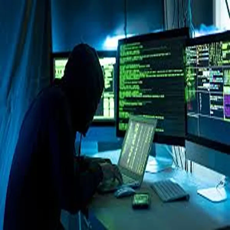 India cyber fraud risks rise