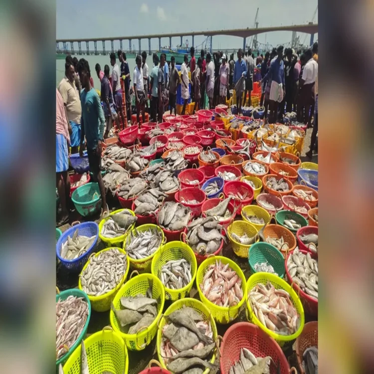 India seafood exports earnings drop