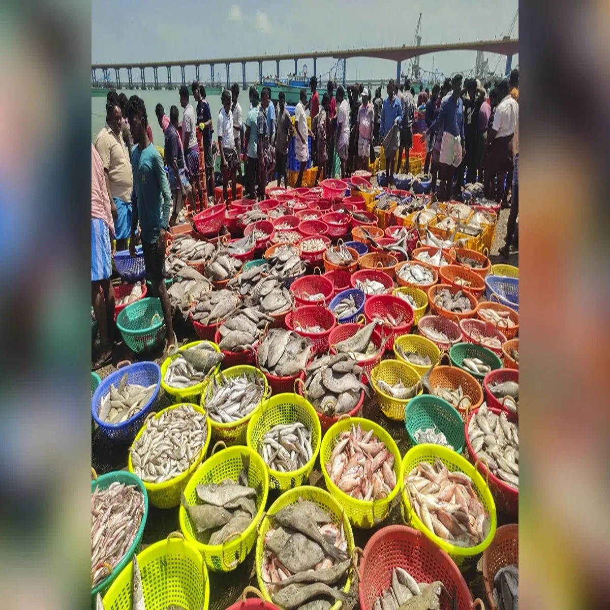 Exports india seafood shipments rise volume