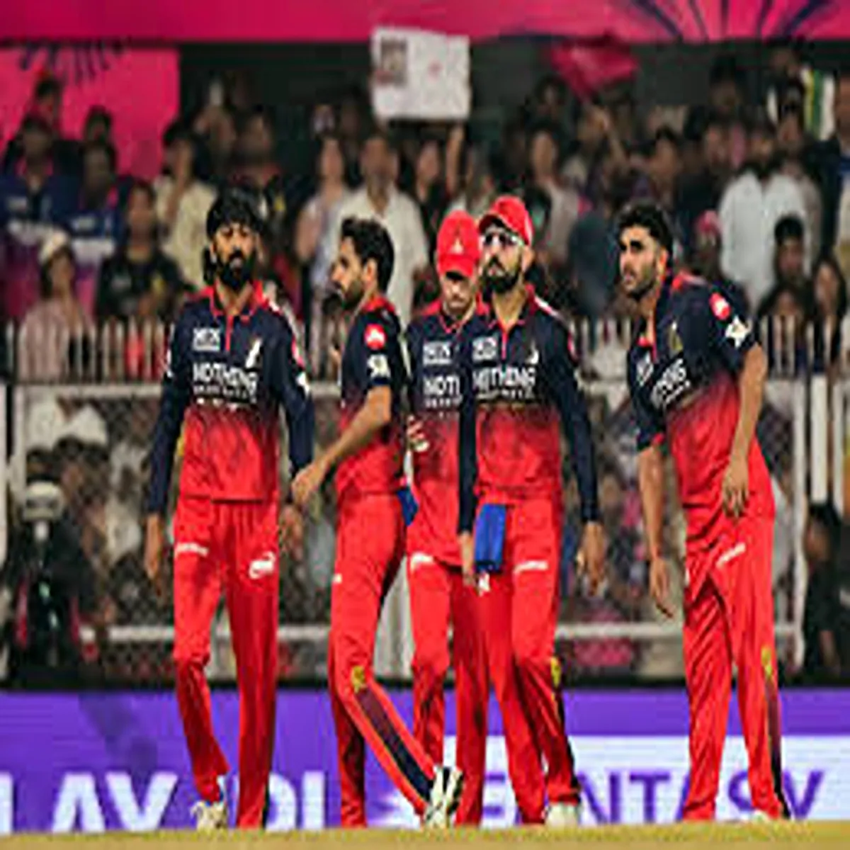 Ipl rcb show resilience despite defeat