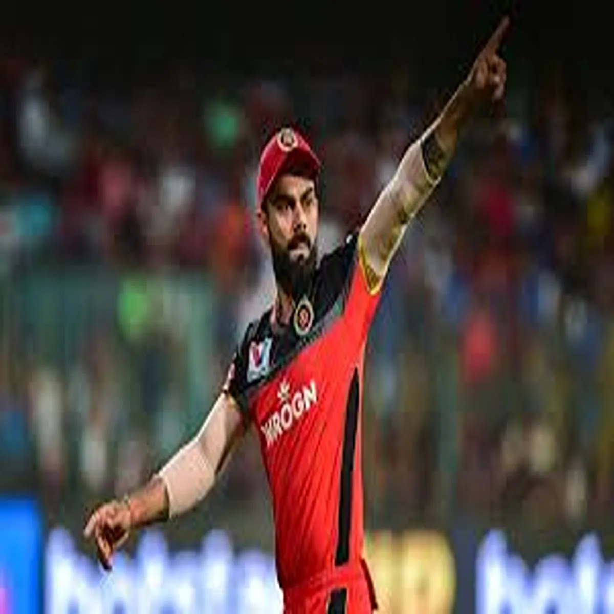 Cricket kohli shines rcb outplay delhi