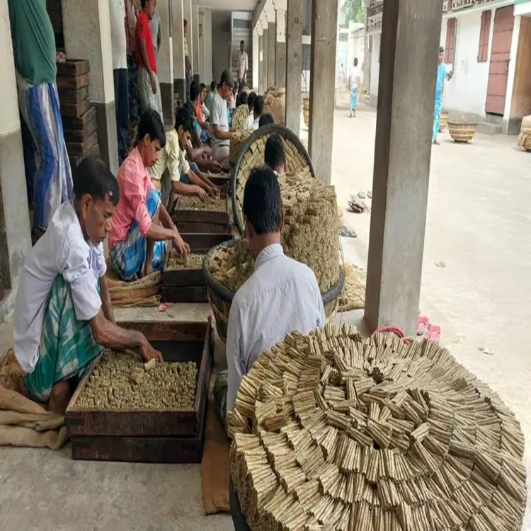 Murshidabad beedi workers crisis