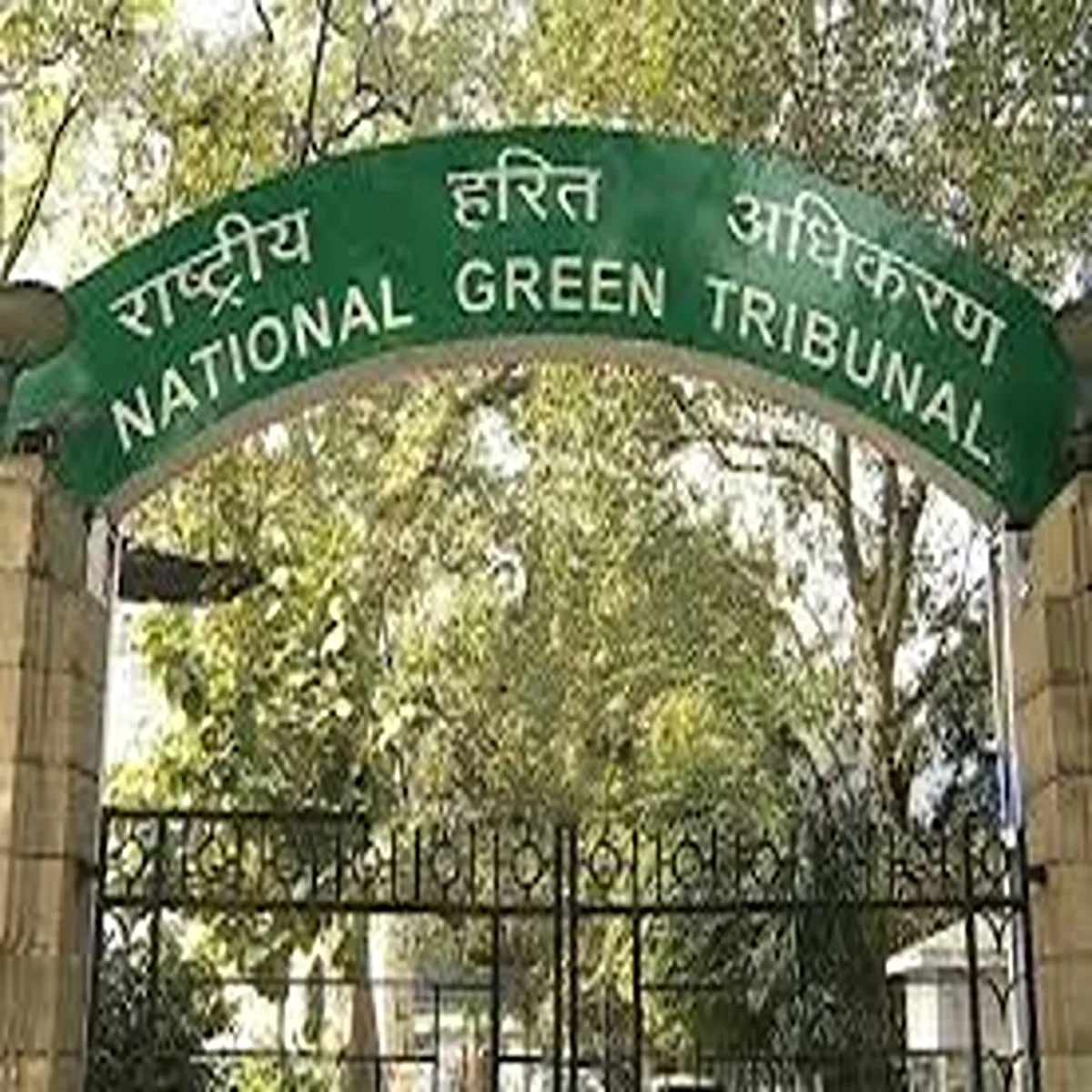 Governance ngt halts assam move deploy