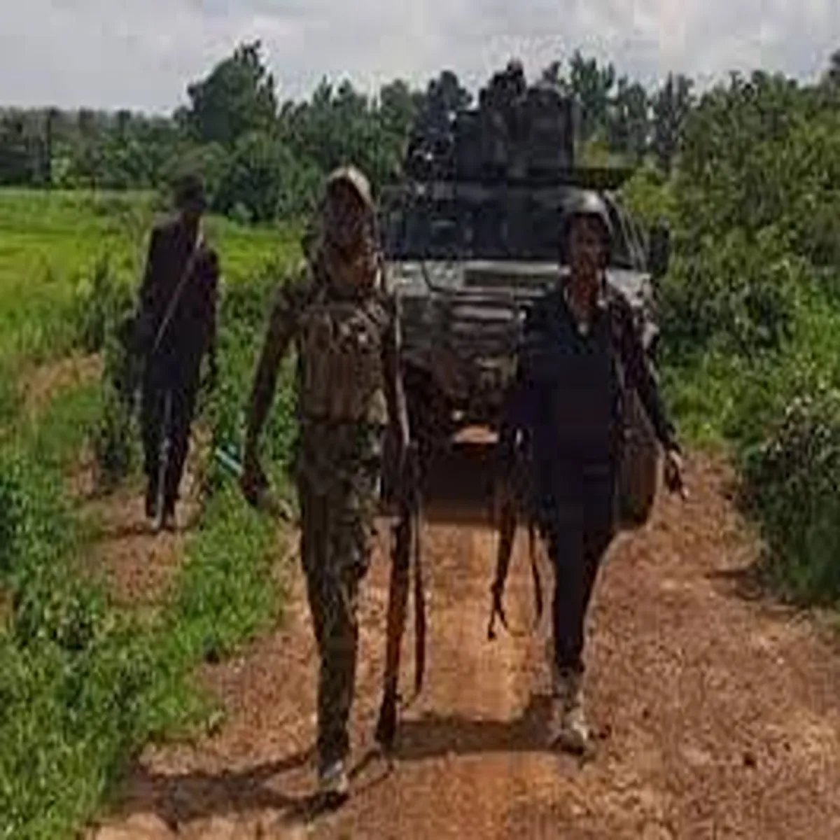 Security nigerian forces eliminate dozens bandits