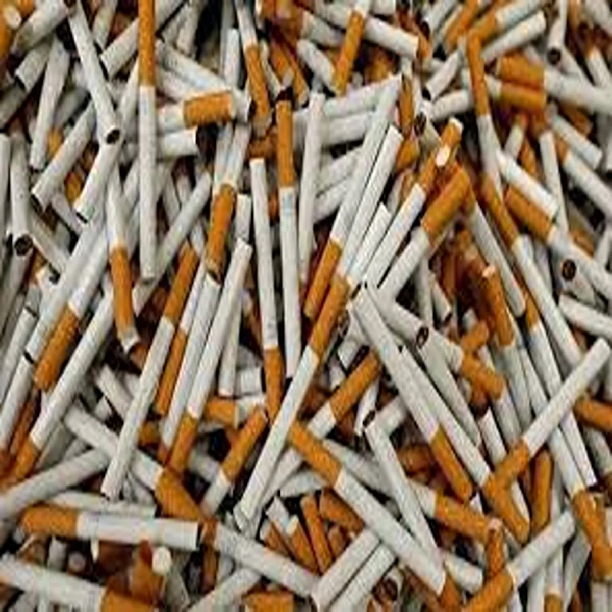 Cigarettemarket pakistan faces rising challenge illicit
