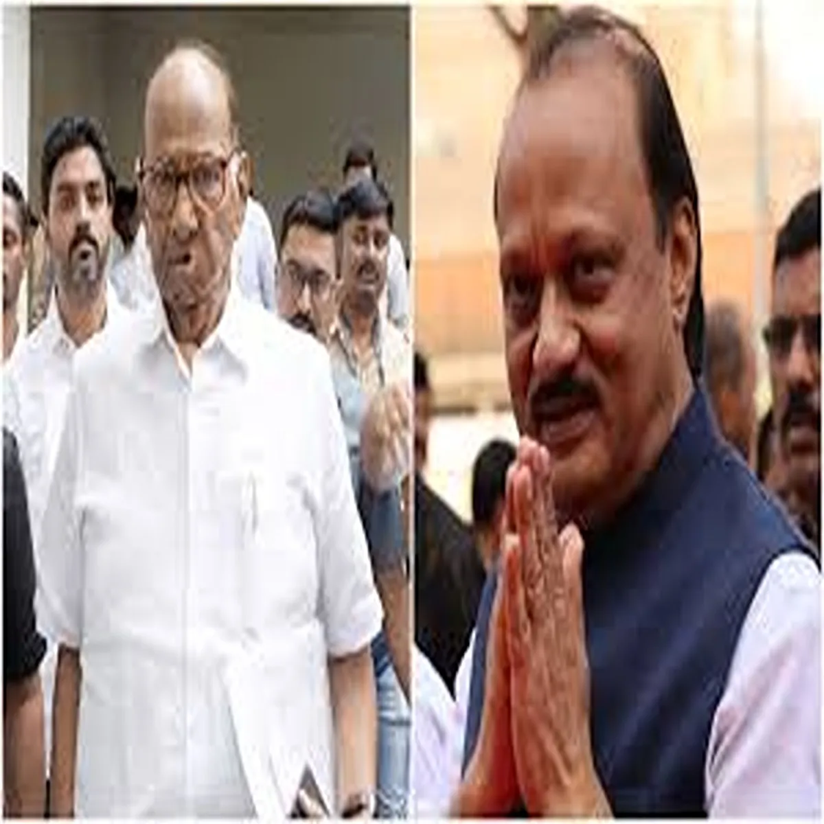 Politics debate grows over pawar family