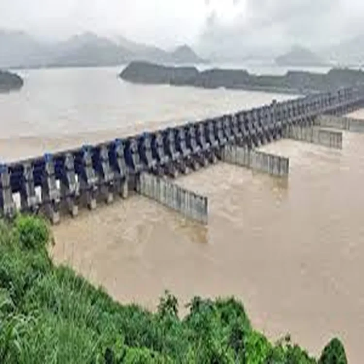 Polavaram project irrigation progress