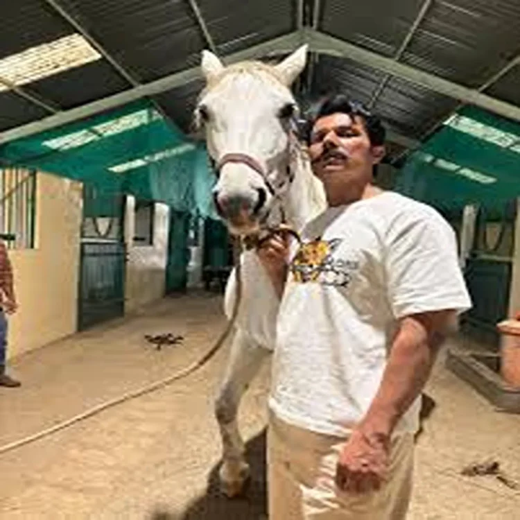 Randeep hooda life family horses