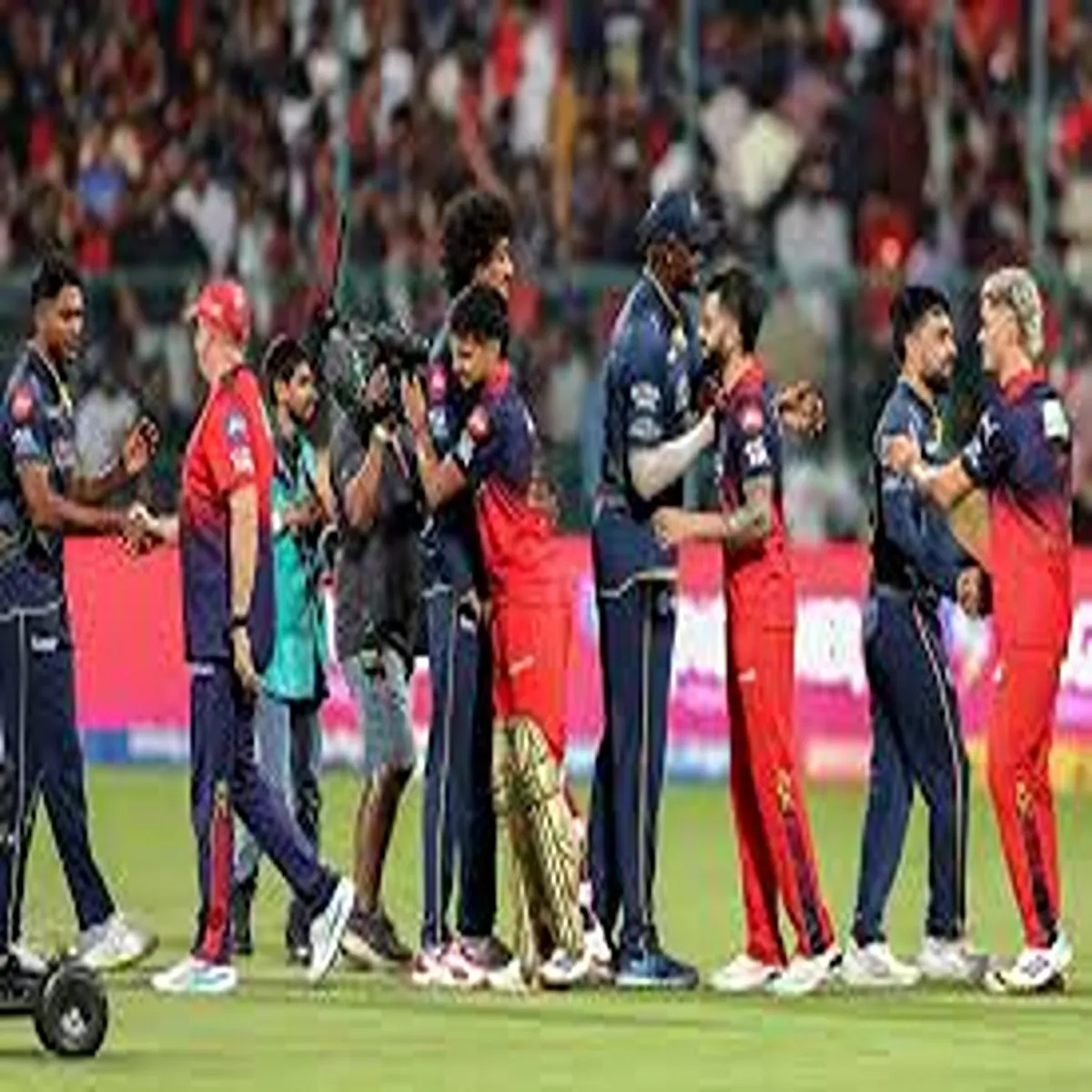 Cricket rcb seal five wicket win