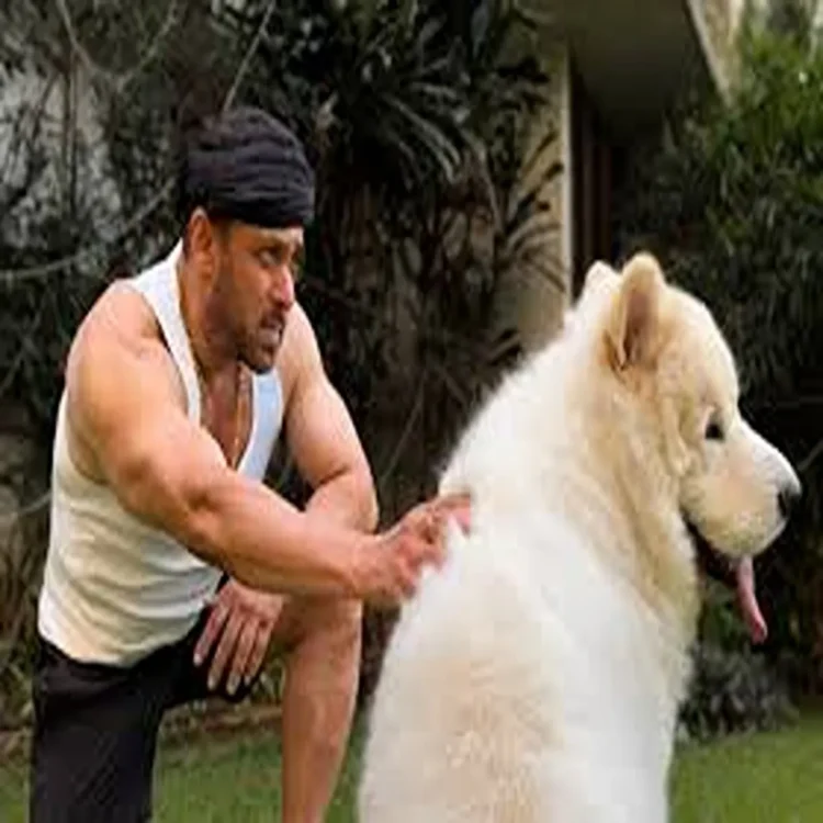 Salman khan pet dog moments