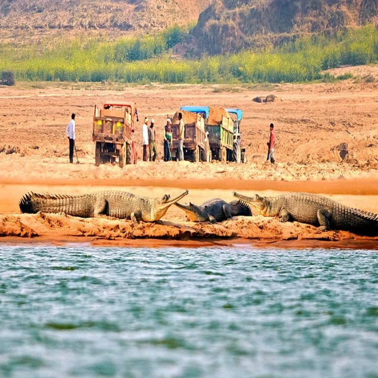 Supreme court chambal mining threat