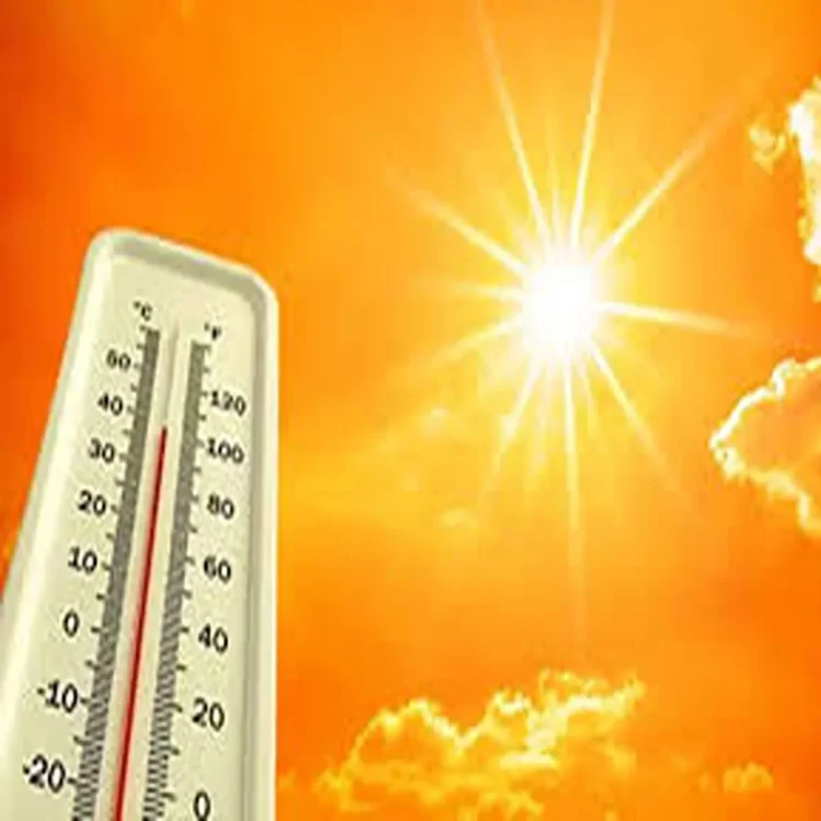 Tamil nadu heatwave rising temperatures