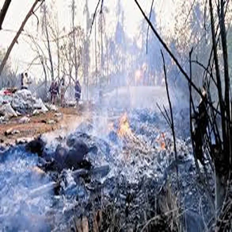 Thiruvananthapuram hill fire rescue ops