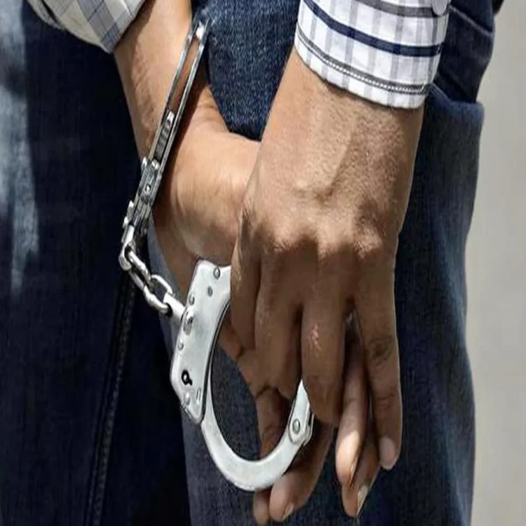Up ats foils terror plot