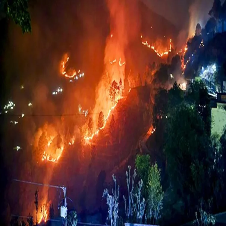 Uttarakhand forest fires surge study