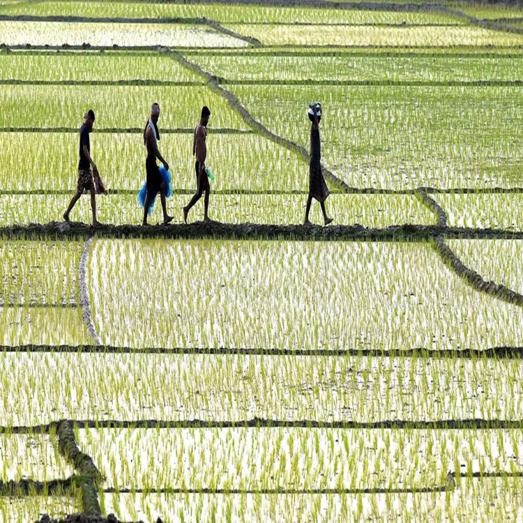 Weak monsoon rural economy 2026