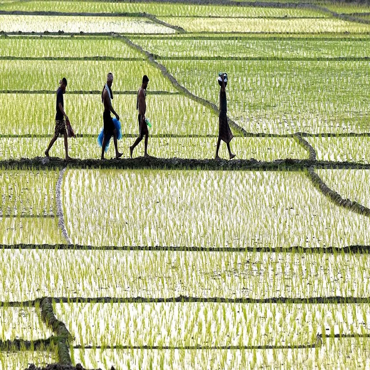 Agriculture weak monsoon rising costs may