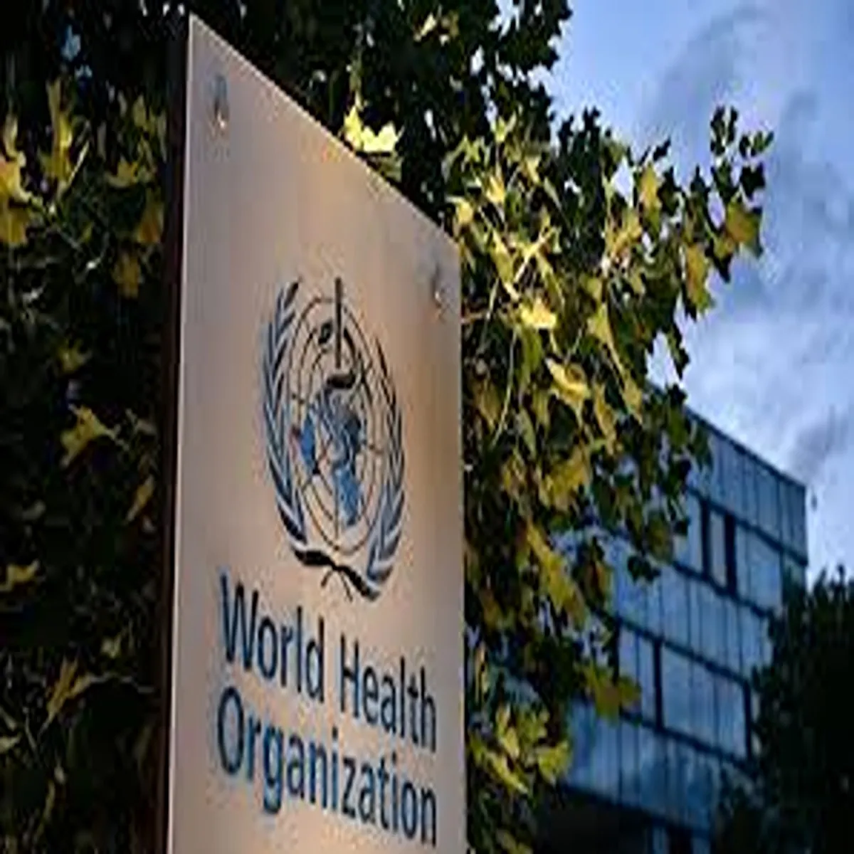 Vaccination who urges stronger immunisation push