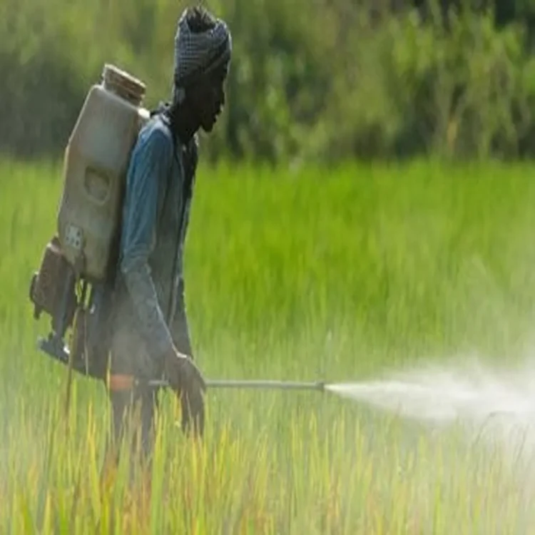Agrochemicals monsoon cost pressure sector