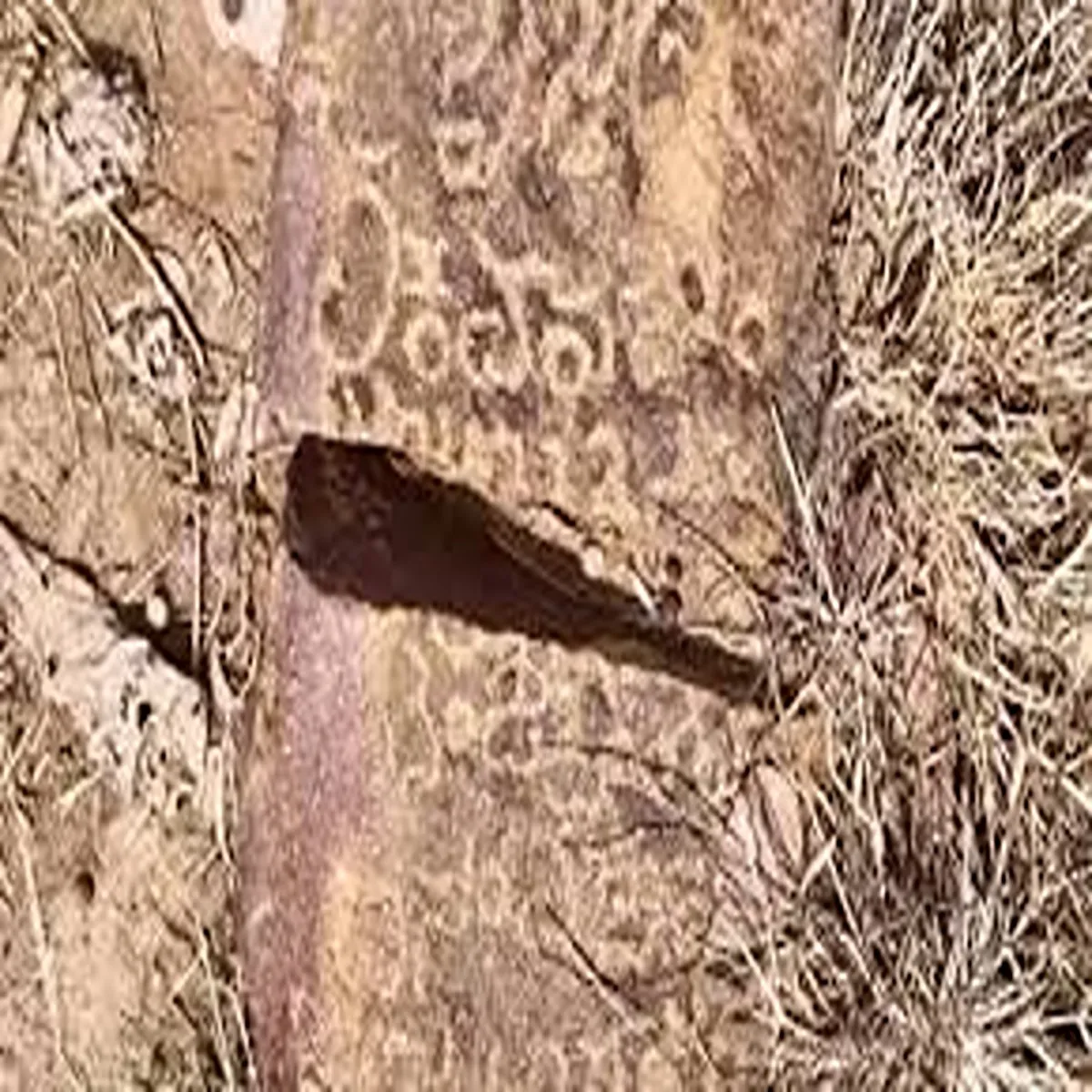 Heritage asi set expand ancient inscription