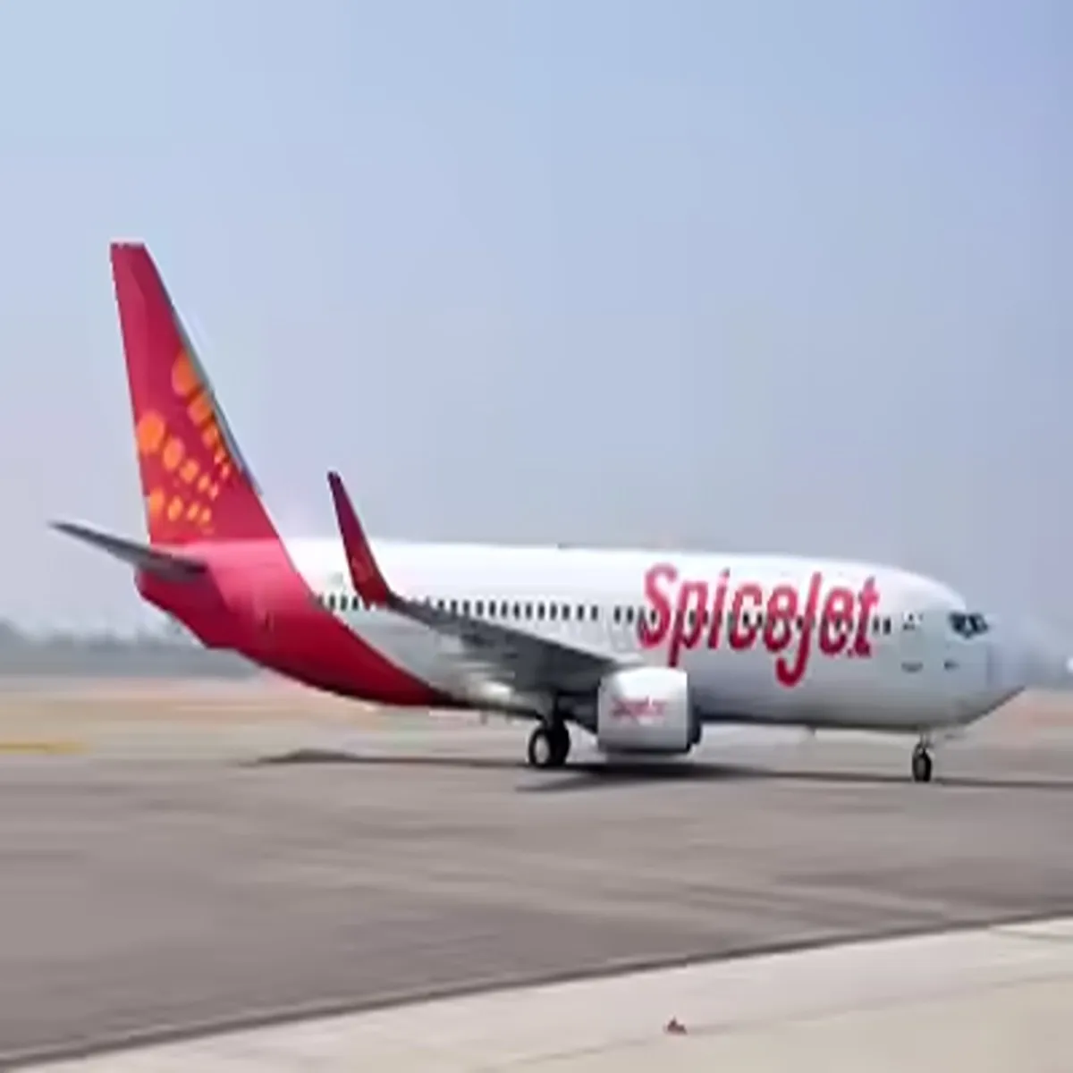 Aviation delhi high court rejects spicejet