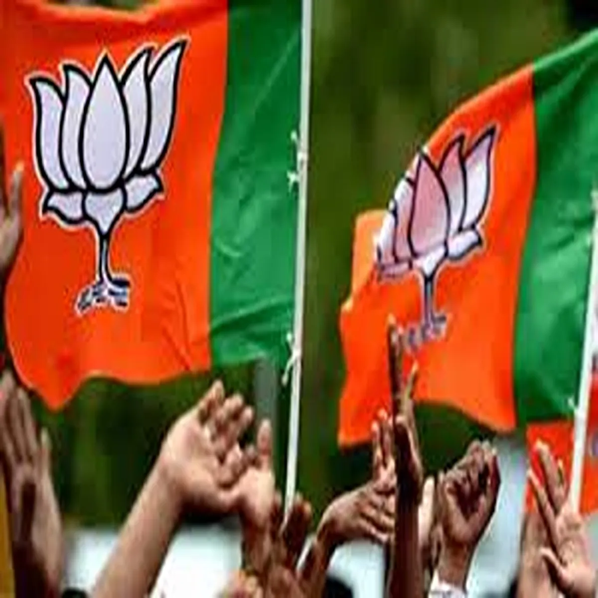 Politics bjp claims strong performance himachal
