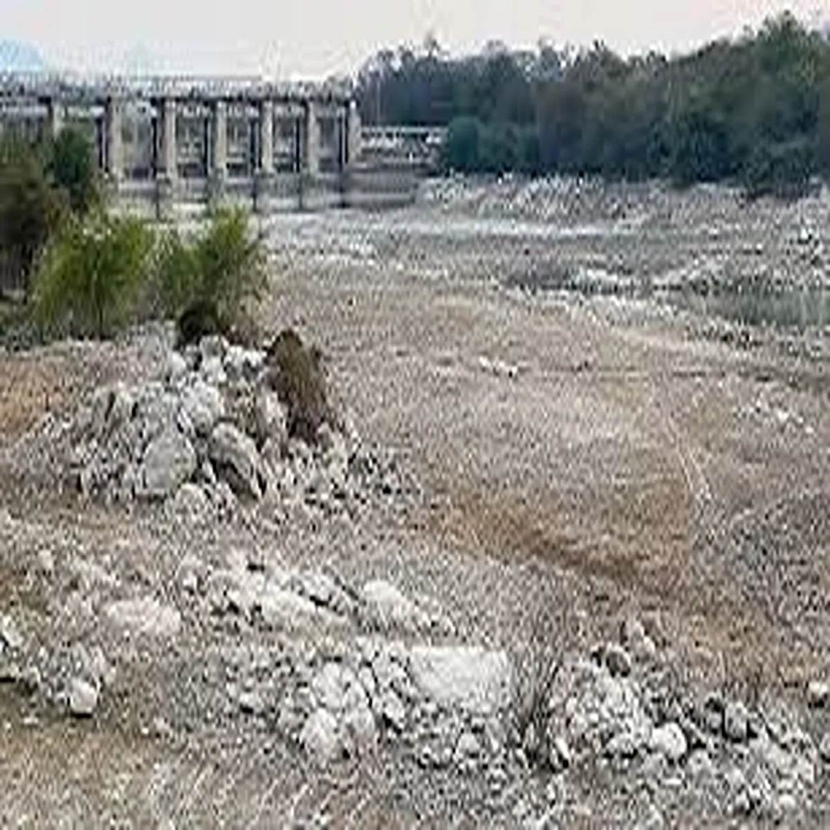 Reservoirs cauvery water concerns rise ahead