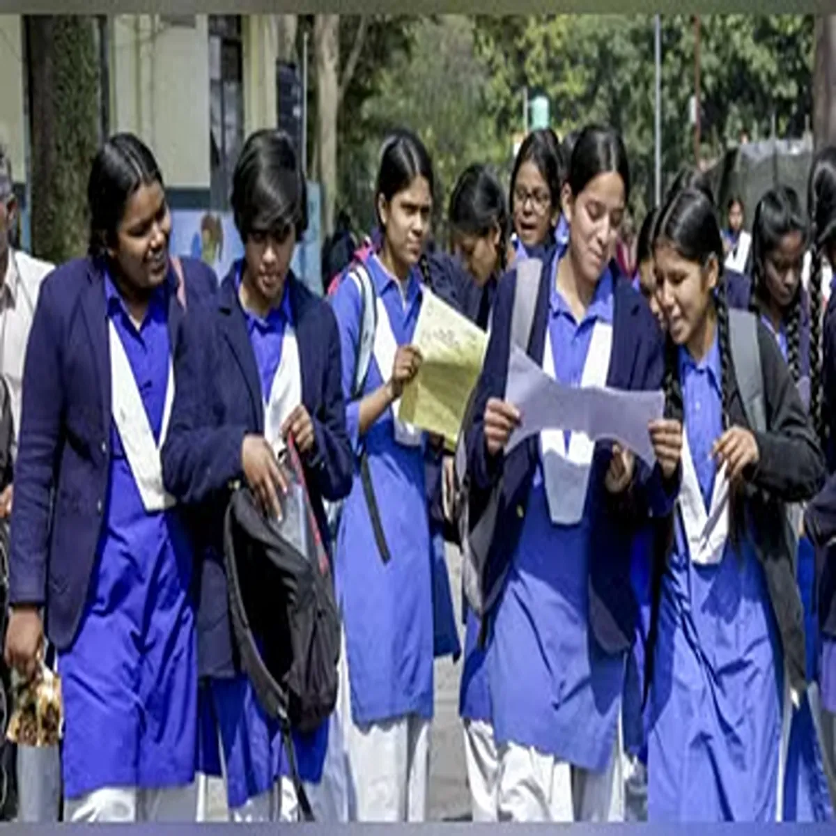Education results cbse class pass percentage