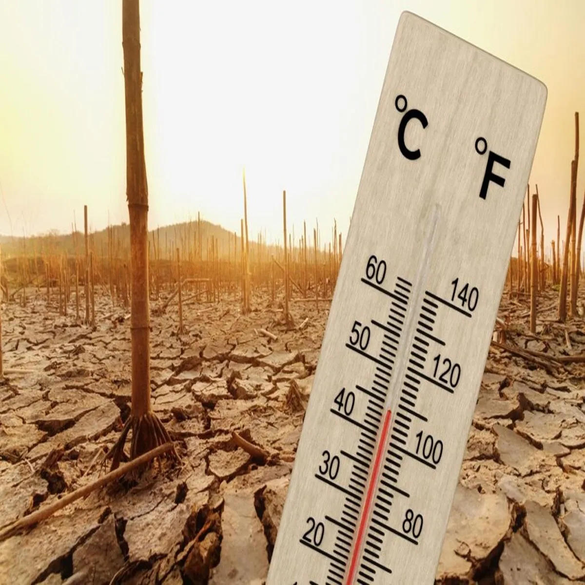Climatechange india relentless heat wave forces