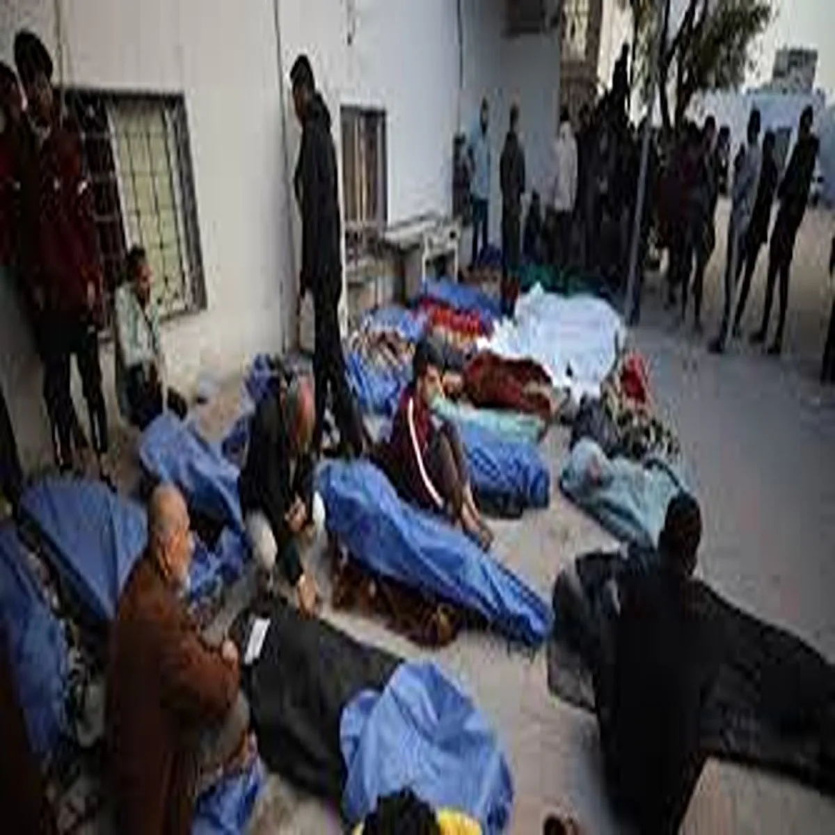 Conflictcrisis reports civilian deaths rising rapidly