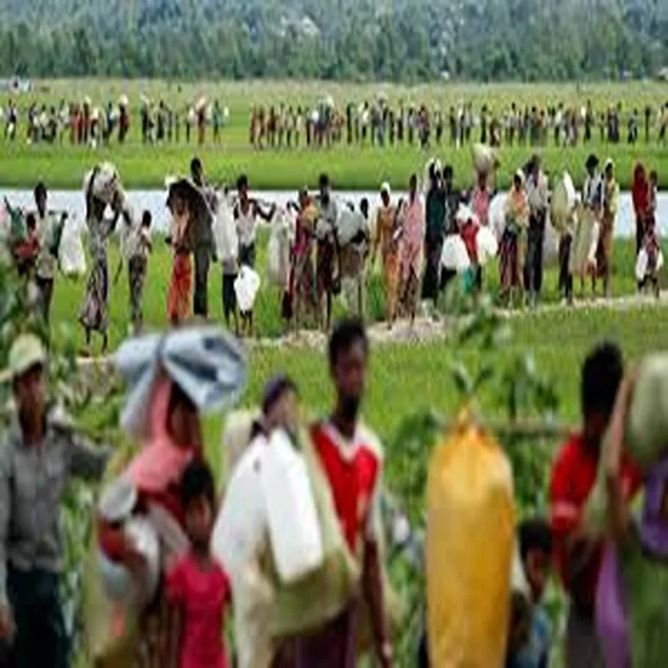 Conflict rohingya killings myanmar report